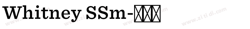 Whitney SSm字体转换